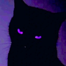 Guest_citrinearylideyedd92