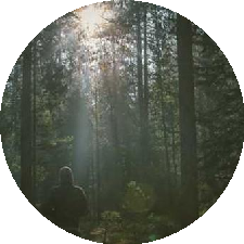 Guest_zkosoaep