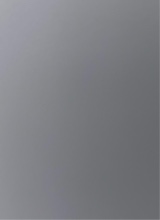 Guest_Rafa515640