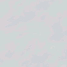Guest_Almeida762