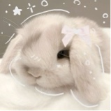 Guest_Ashley392386