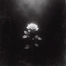 Guest_darkness1vve