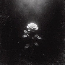 Guest_darkness1vve