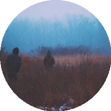 Guest_cvfvbbvhnr