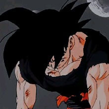 Guest_GokublackRosessj