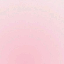 Guest_Mia2925691