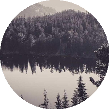 Guest_vmtnksqyht