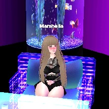 Guest_Marshella223
