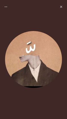 Guest_POdY9Mkz