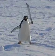 Guest_GJjK2vMU