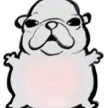 immagine avatar
