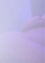 Guest_xolina1
