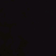 Guest_lulu1120