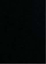 صورة الـavatar