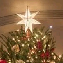 Guest_Cata133387