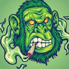 Guest_Smokeymcpot1
