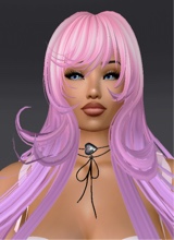 Guest_Nelsi8