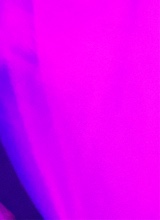 Guest_thyloveneshaaa