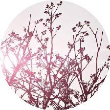 Guest_ecmqnspwbq