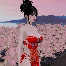 immagine avatar