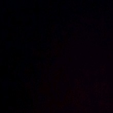 Guest_Airi50