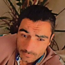 Guest_Zimboslice