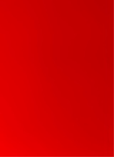 Guest_Bibi926181