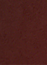 Guest_VelvetVampireAddams