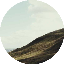 Guest_ritczrqdea