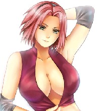 SAKURA53643