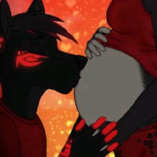 Guest_Bearman97