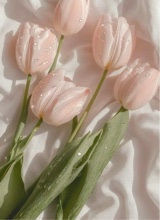 Guest_ELLA669969