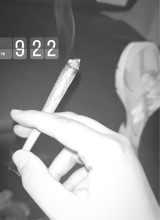 Guest_marinaa39