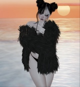 Guest_zaragoob