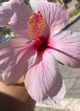 Guest_Anissa137270