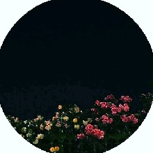 Guest_ZURG8