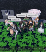 Guest_kayla738334