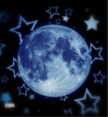Guest_starfly1