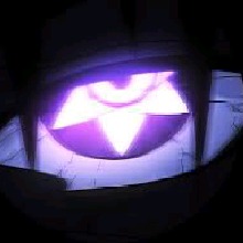 Guest_Donato24