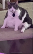 KaitJones