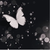 Guest_lavitha124