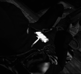 Guest_MrLeaveNoTrace1