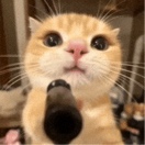Guest_virgocornflowerb414d