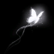 Guest_Cupid751183