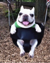 Guest_jaitoocute4u