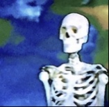Guest_bonssx