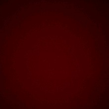 Guest_Biel209665