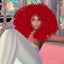 Guest_Sasha691