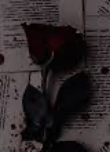 Guest_bbycakes1