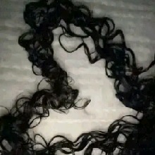 Guest_Guadalupe125106